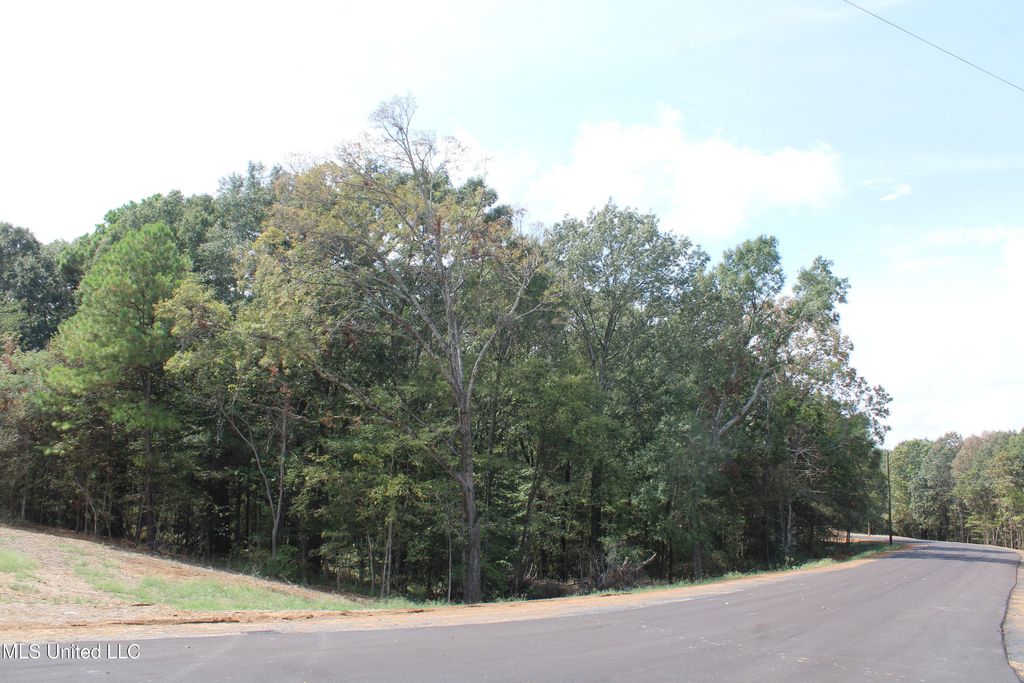 12 Old Barn Cove, Hernando, MS 38632 — photo 2