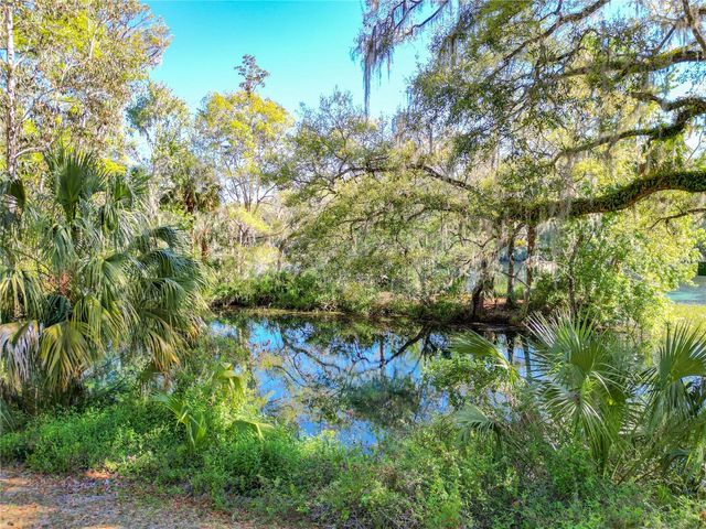 9738 SW 195TH CIRCLE, Dunnellon, FL 34432