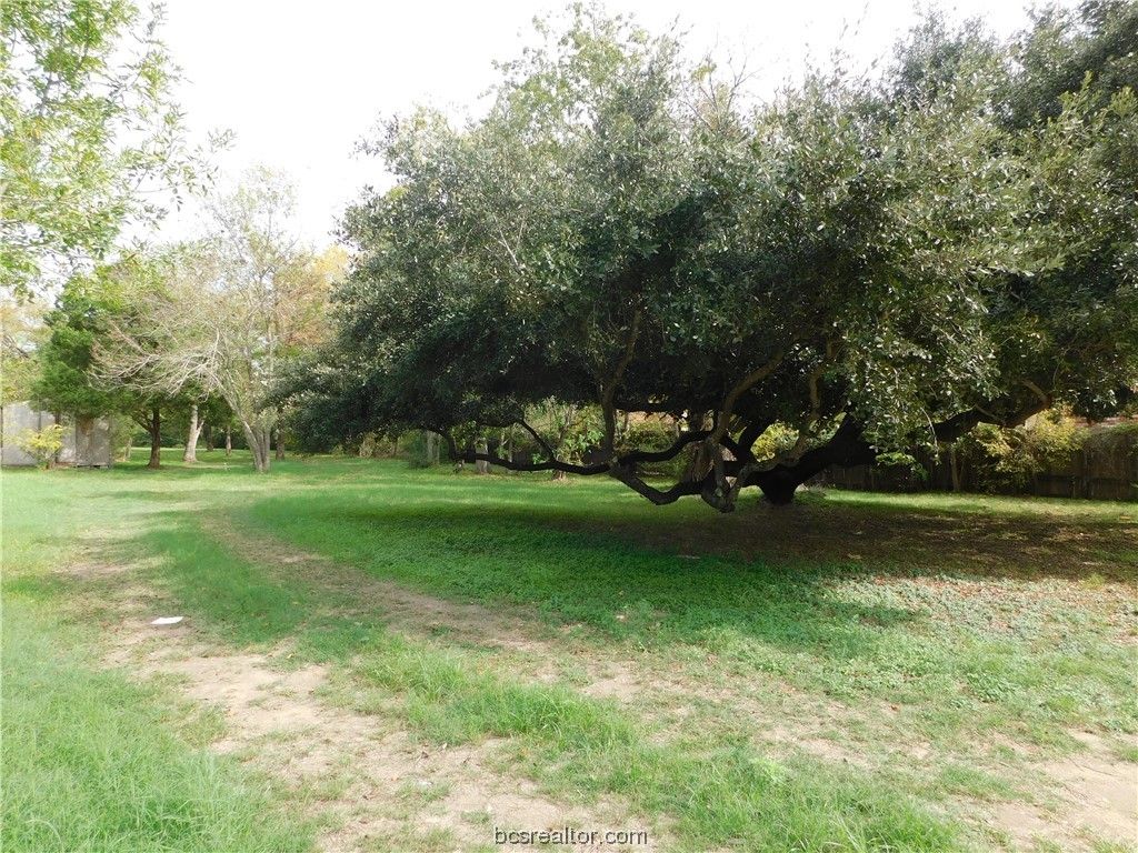 TBD Palasota Drive, Bryan, TX 77803 — photo 2