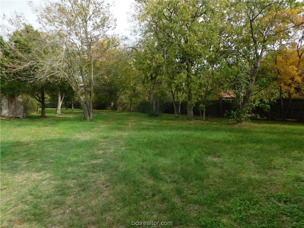 TBD Palasota Drive, Bryan, TX 77803 — photo 3