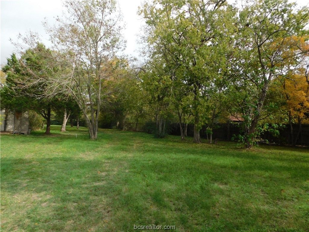 TBD Palasota Drive, Bryan, TX 77803 — photo 4