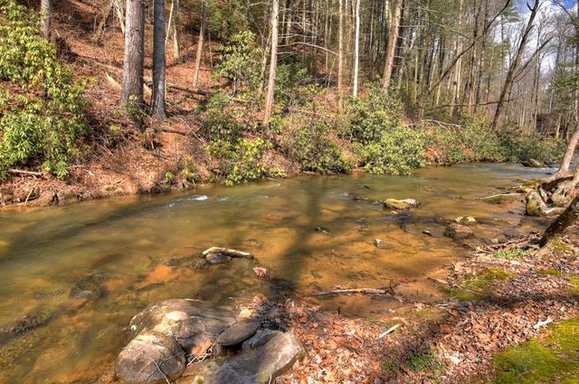 77 Watersong Trail, Ellijay, GA 30540