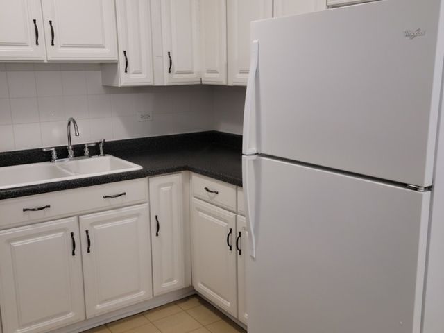 8035 Oconnor Drive 2E, River Grove, IL 60171