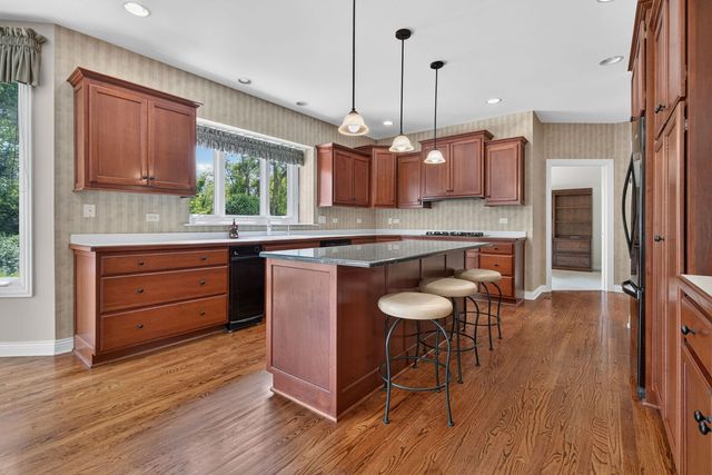 10897 Pioneer Trail, Frankfort, IL 60423