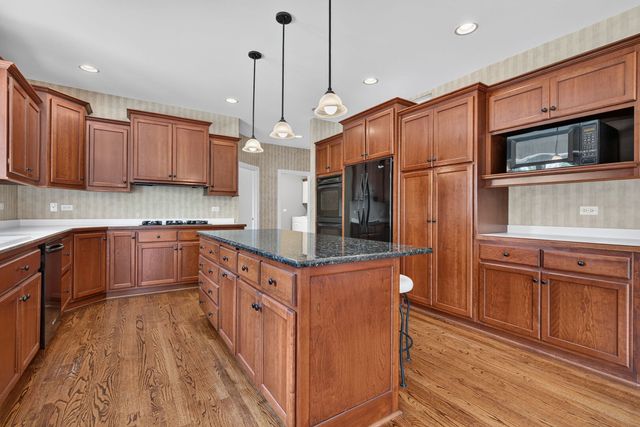10897 Pioneer Trail, Frankfort, IL 60423