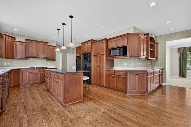 10897 Pioneer Trail, Frankfort, IL 60423
