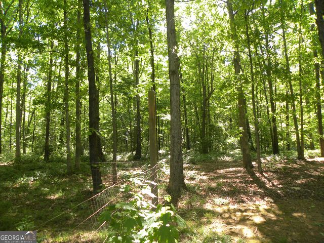 2627 Cole Road, Carnesville, GA 30521