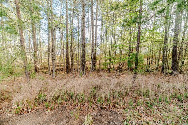 104 Foothill Court, Sanford, NC 27330