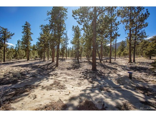 16530 County Road 327, Buena Vista, CO 81211