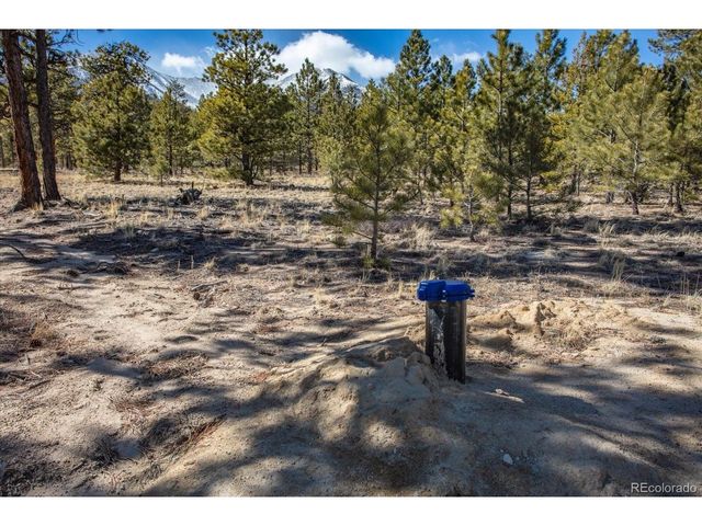 16530 County Road 327, Buena Vista, CO 81211
