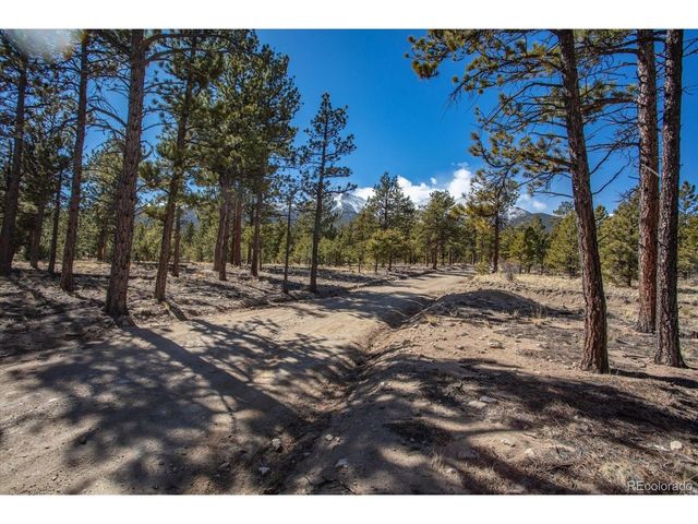 16530 County Road 327, Buena Vista, CO 81211