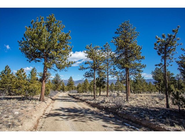 16530 County Road 327, Buena Vista, CO 81211