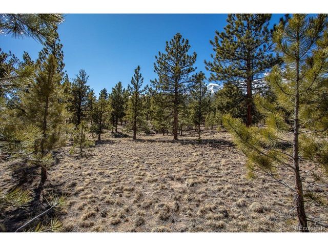 16530 County Road 327, Buena Vista, CO 81211
