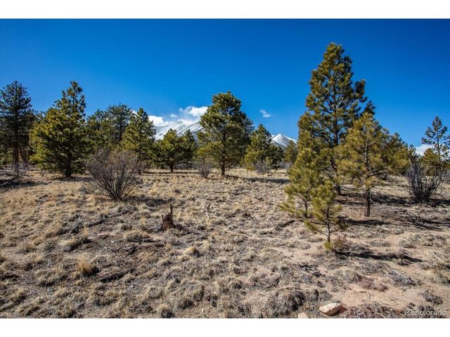 16530 County Road 327, Buena Vista, CO 81211