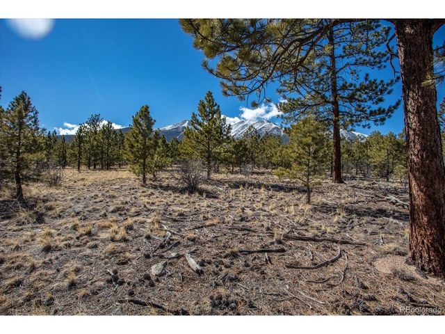 16530 County Road 327, Buena Vista, CO 81211