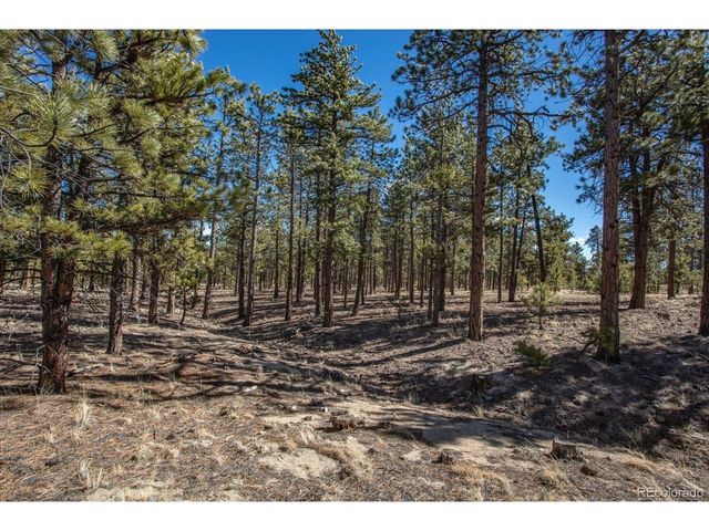 16530 County Road 327, Buena Vista, CO 81211