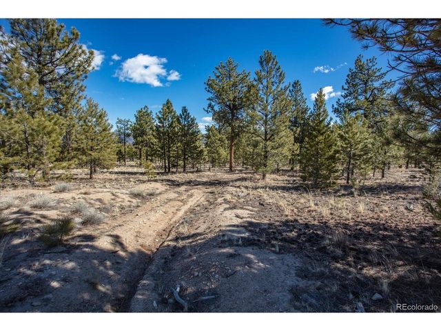 16530 County Road 327, Buena Vista, CO 81211