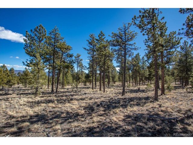 16530 County Road 327, Buena Vista, CO 81211