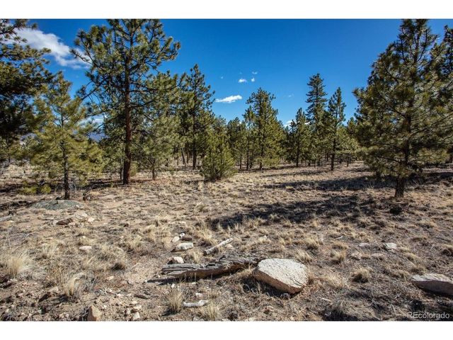 16530 County Road 327, Buena Vista, CO 81211