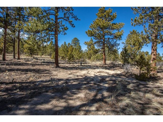16530 County Road 327, Buena Vista, CO 81211