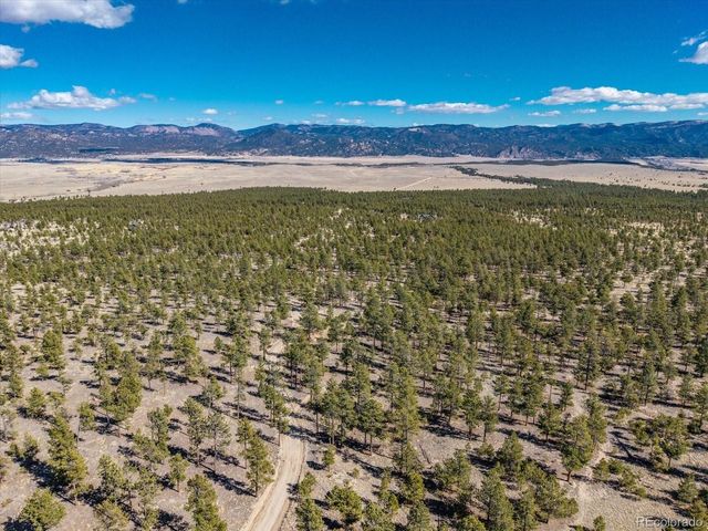 16530 County Road 327, Buena Vista, CO 81211
