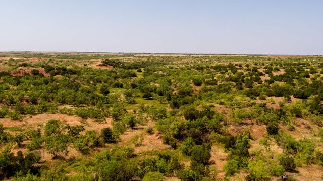 TBD CR 349, Aspermont, TX 79502