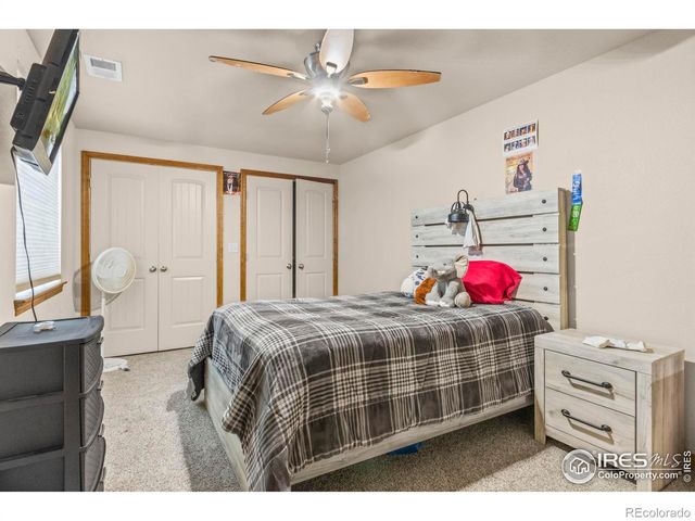 4479 Bragg Lane, Wellington, CO 80549