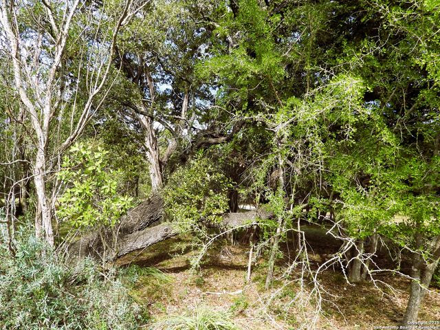 164 E 18th, Lakehills, TX 78063