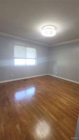 11989 Red Lion Drive, St Louis, MO 63033
