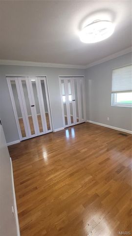 11989 Red Lion Drive, St Louis, MO 63033