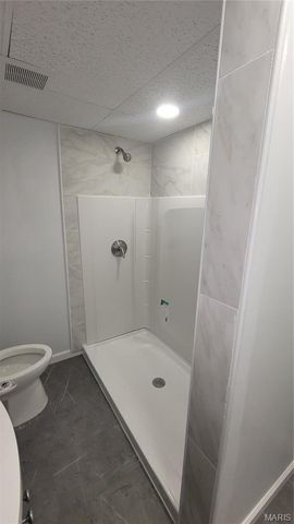 11989 Red Lion Drive, St Louis, MO 63033