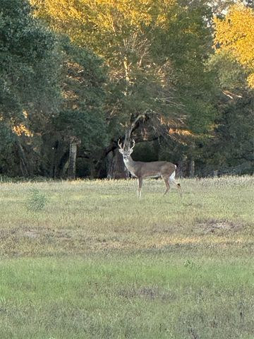 2636 E FM 532, Schulenburg, TX 78956