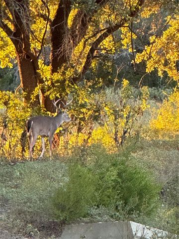 2636 E FM 532, Schulenburg, TX 78956