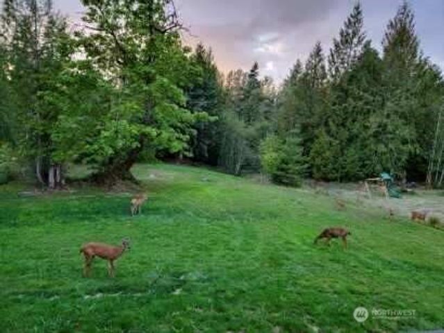 206 Rice Park Road, Silverlake, WA 98645