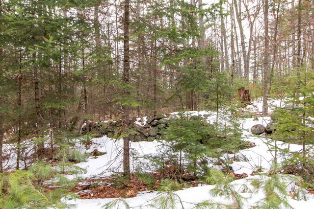 184 Stark Trail, Newbury, VT 05081