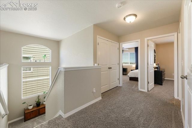 9385 Sand Myrtle Drive, Colorado Springs, CO 80925