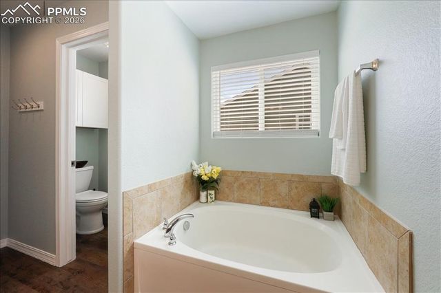 9385 Sand Myrtle Drive, Colorado Springs, CO 80925