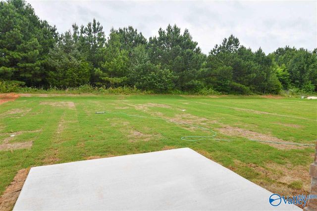 113 Gary Allen Boulevard, Madison, AL 35757