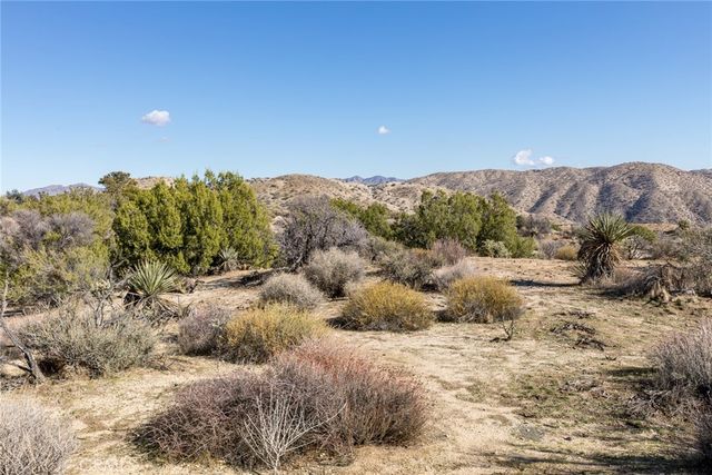 0 Magnolia Drive, Morongo Valley, CA 92256