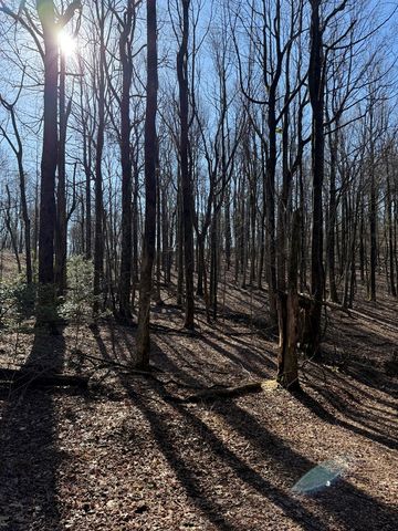 6180 Burnt Mountain Road, Ellijay, GA 30536