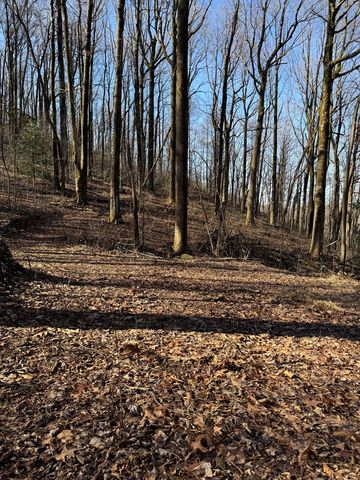 6180 Burnt Mountain Road, Ellijay, GA 30536