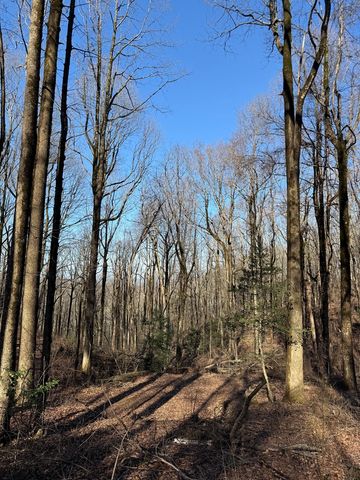 6180 Burnt Mountain Road, Ellijay, GA 30536
