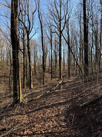 6180 Burnt Mountain Road, Ellijay, GA 30536