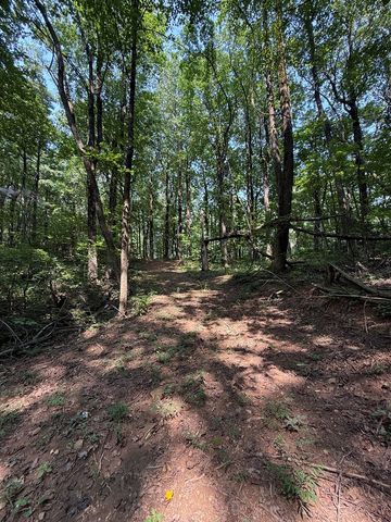 6180 Burnt Mountain Road, Ellijay, GA 30536