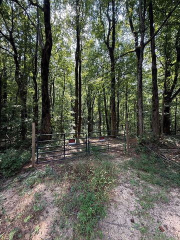 6180 Burnt Mountain Road, Ellijay, GA 30536