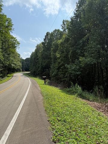 6180 Burnt Mountain Road, Ellijay, GA 30536