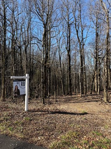 6180 Burnt Mountain Road, Ellijay, GA 30536