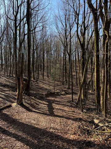 6180 Burnt Mountain Road, Ellijay, GA 30536