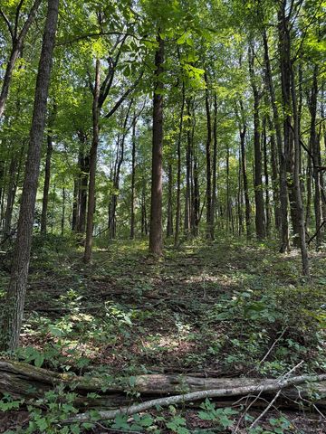 6180 Burnt Mountain Road, Ellijay, GA 30536