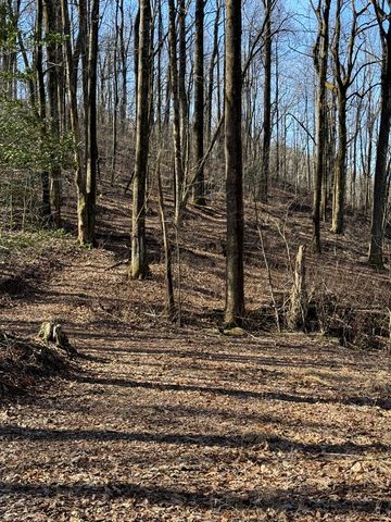 6180 Burnt Mountain Road, Ellijay, GA 30536